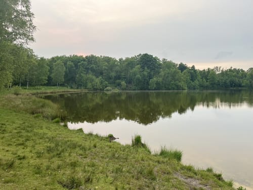 Heiderundweg (Teverener Heide Lila Route)