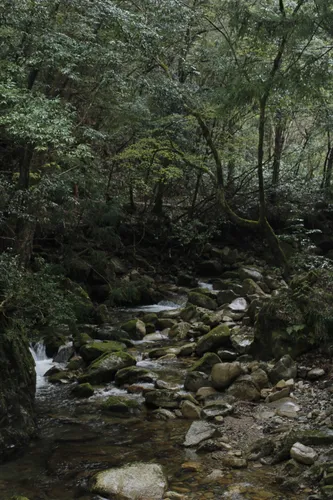 竜の棲む山 Ryuodake - Rural Travels, Japan - Rexby