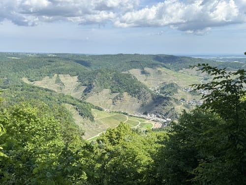 Altenburg - Mayschossblick - Hornberg