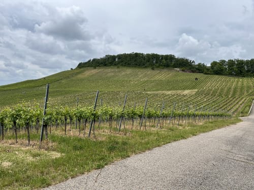 Schützingen - Mettenbacher Mühle - Füllmenbacher Hofberg