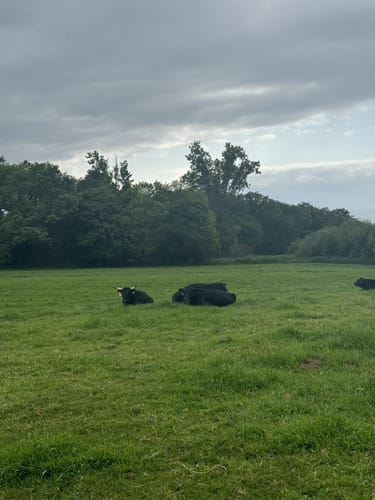 Bei Goch entlang der Niers nach Weeze