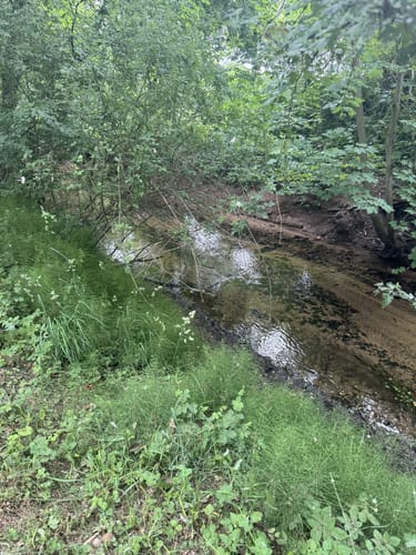 Bei Goch entlang der Niers nach Weeze