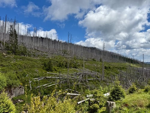 Schierke und Brocken über Eckerlochstieg