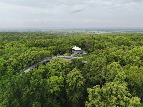 Baumkronenpfad Hainich