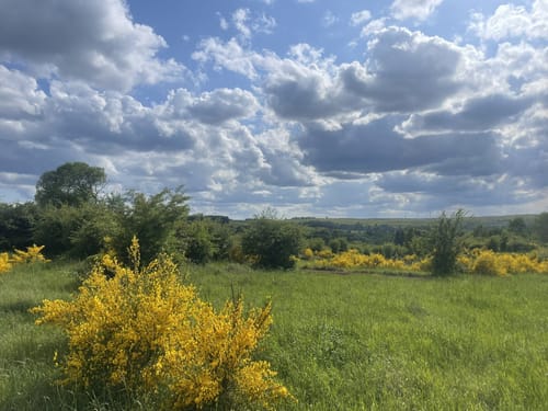 Wüstung mit Weitblick