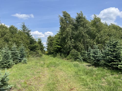 Stockum Wanderweg St1