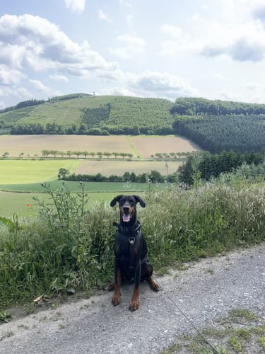 Stockum Wanderweg St1