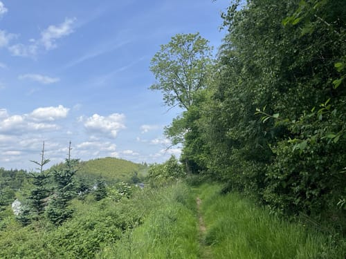 Stockum Wanderweg St1