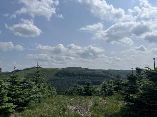 Stockum Wanderweg St1