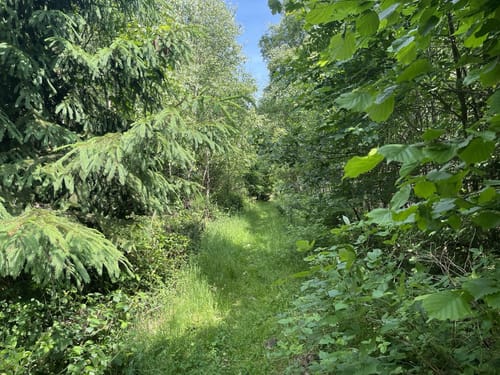 Stockum Wanderweg St1