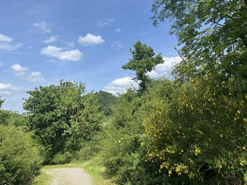Stockum Wanderweg St1