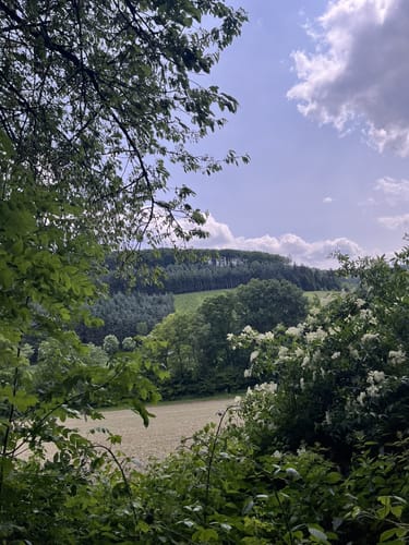 Stockum Wanderweg St1