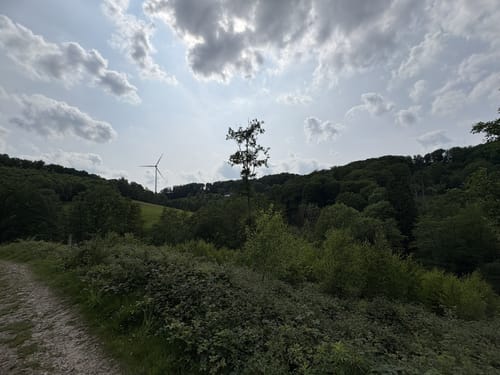 Rundweg A6: Eggenweg
