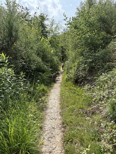 Rundweg A6: Eggenweg
