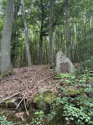 Wolfweg - Der Letzte Wolf im Odenwald
