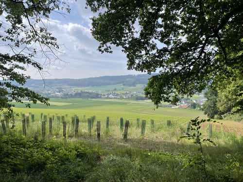 Eggetaler Panorama Weg mit Abstecher zur Burgruine Limberg
