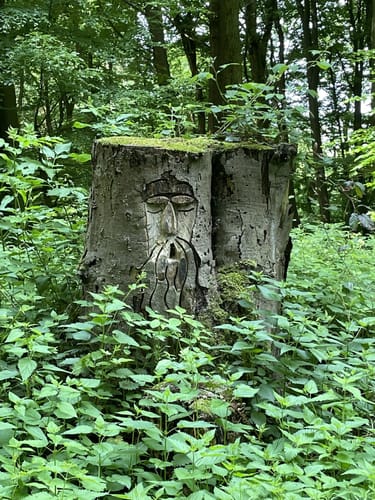 Eggetaler Panorama Weg mit Abstecher zur Burgruine Limberg