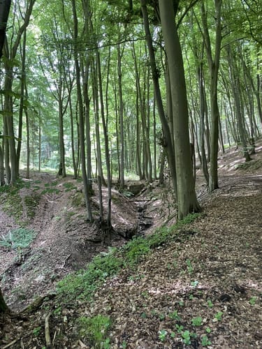 Eggetaler Panorama Weg mit Abstecher zur Burgruine Limberg