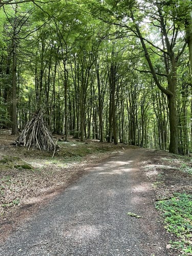 Eggetaler Panorama Weg mit Abstecher zur Burgruine Limberg