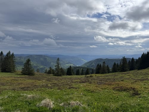 Feldbergsteig (Genießerpfad)