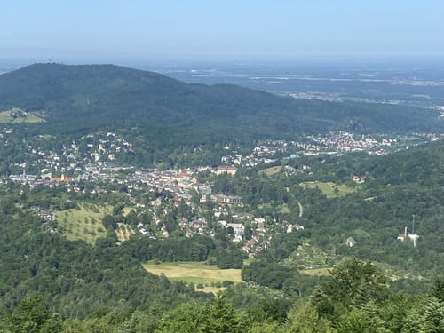 Merkur via Fuchsweg