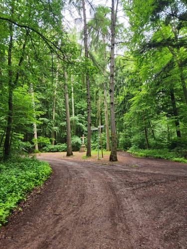 Rundweg Parkplatz Grafenthalerhof