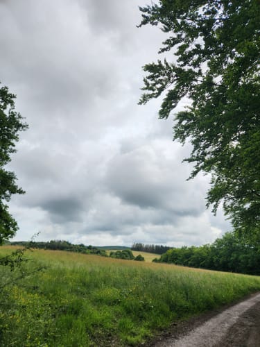 Rundweg Parkplatz Grafenthalerhof