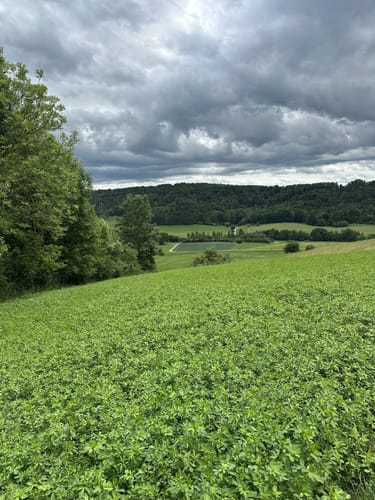 Kleine Runde ab Talheim