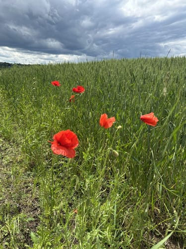 Kleine Runde ab Talheim