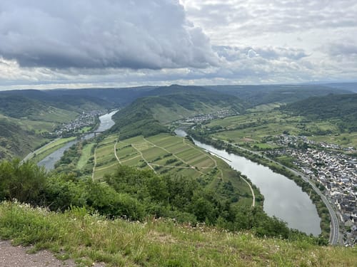 Moselsteig Etappe 16: Neef - Ediger-Eller