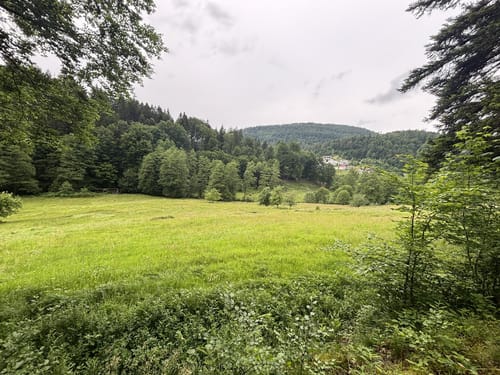 Oberes Albtal - Quellenlehrpfad and Großes Loch