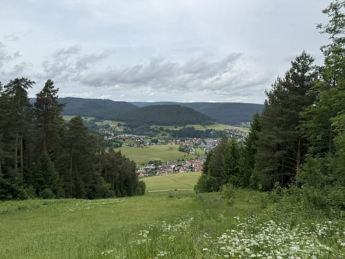 Sankenbachsteig (Premiumwanderweg)