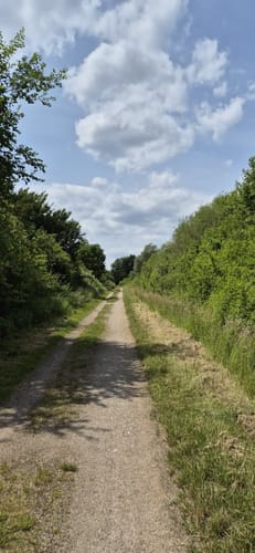 Die Haard - Haidberg: Regionale Kontraste