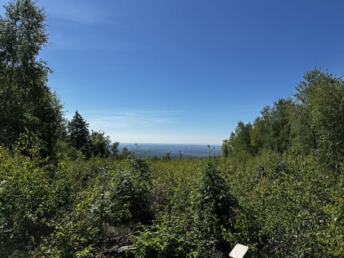 Rassel und Kellerskopf Rundweg