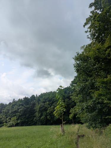 Deutschritter-Tour (Premiumwanderweg)