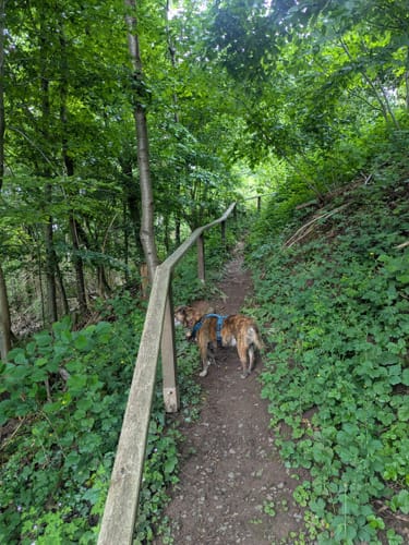 Deutschritter-Tour (Premiumwanderweg)