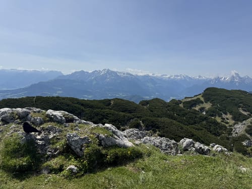 Salzburger Hochthron - Dopplersteig