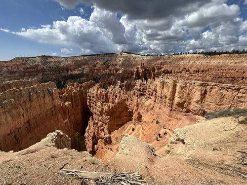 Parchi Naturali Parchi Nazionali Riserve Naturali Regionali Foreste - Foto 7