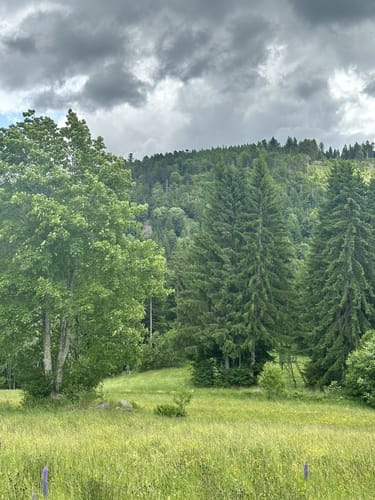 Ab Häusern entlang der Schwarza zum Schwarzasee