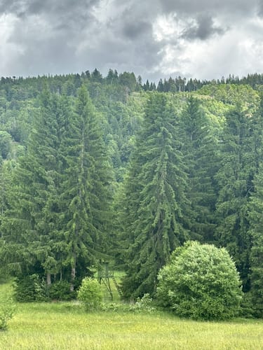 Ab Häusern entlang der Schwarza zum Schwarzasee