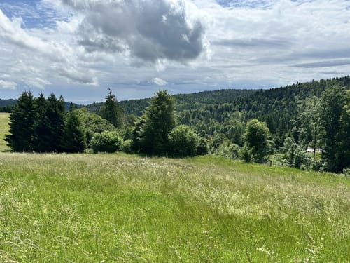 Ab Häusern entlang der Schwarza zum Schwarzasee