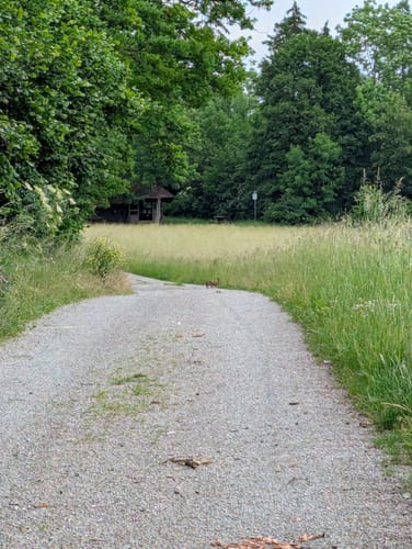 Naturpark-AugenBlick-Runde auf den Wächtersberg in Wildberg
