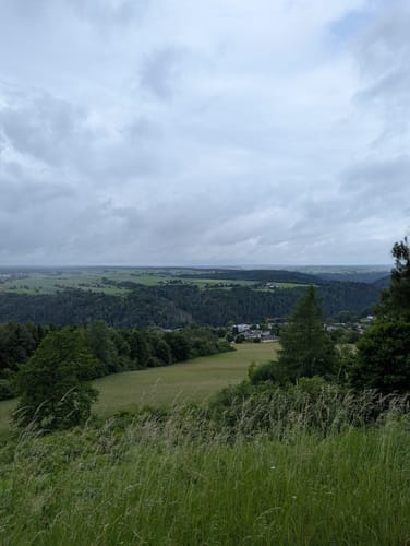 Naturpark-AugenBlick-Runde auf den Wächtersberg in Wildberg