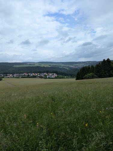 Naturpark-AugenBlick-Runde auf den Wächtersberg in Wildberg