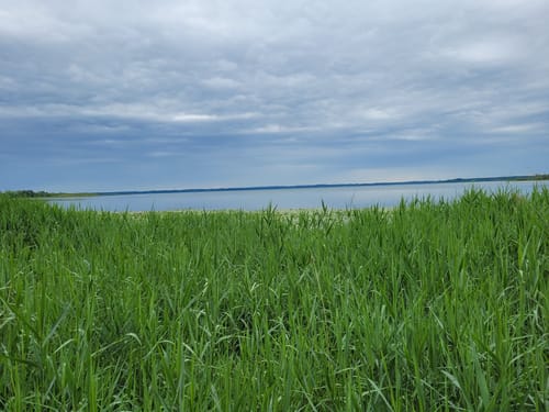 Moorweg und Hirschauer Bucht