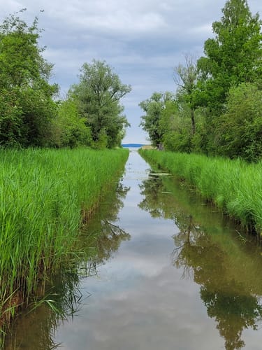 Moorweg und Hirschauer Bucht
