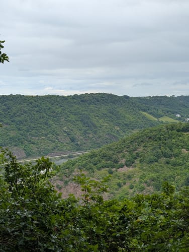 Borjer Ortsbachpädche (Moselsteig Seitensprung)