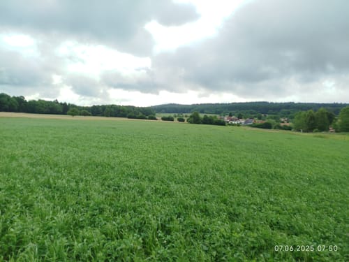 Leininger Odenwaldrunde
