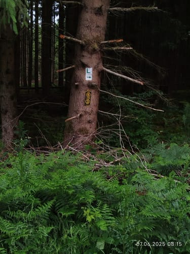 Leininger Odenwaldrunde