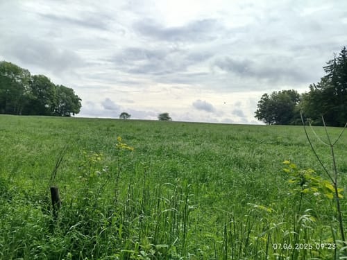 Leininger Odenwaldrunde